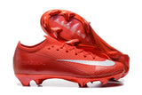 Nike AIR Zoom Mercurial Vapor 16 Elite XXV FG