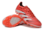 PREDATOR ACCURACY+ ag BOOTS